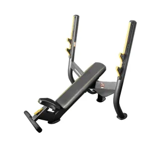 Element Fitness Olympic Incline Gym Bench